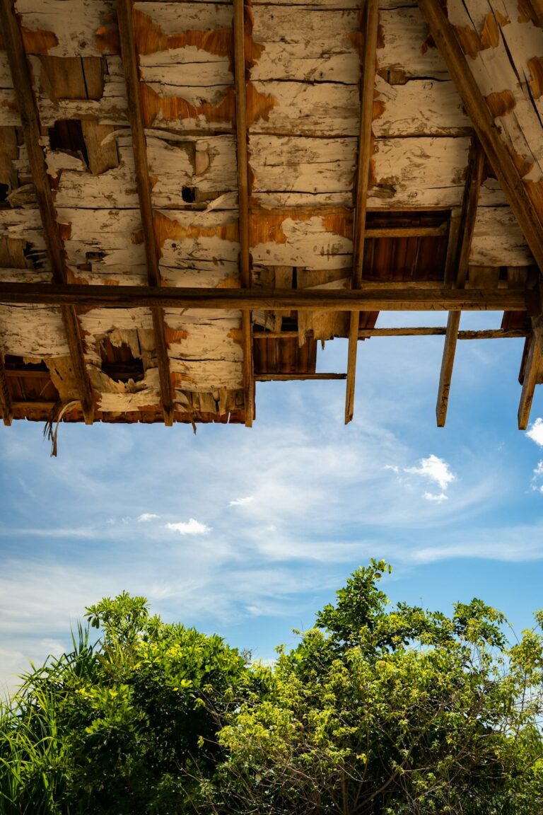 Homeowner examines damaged roof shingles with binoculars while standing safely in the yard.
